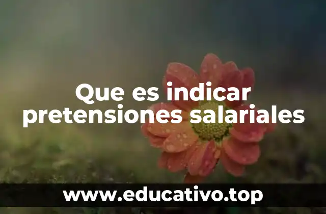 Que es indicar pretensiones salariales