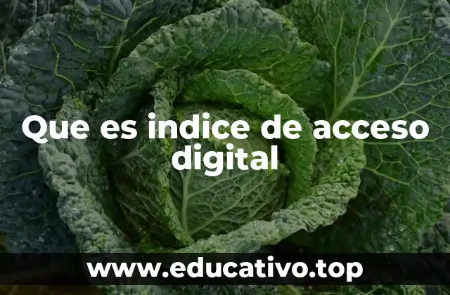 Que es indice de acceso digital