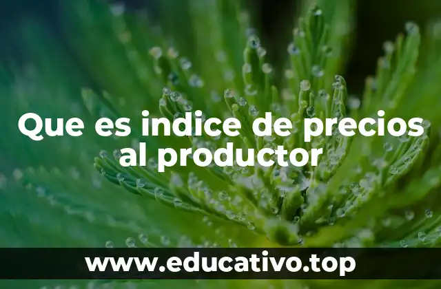Que es indice de precios al productor