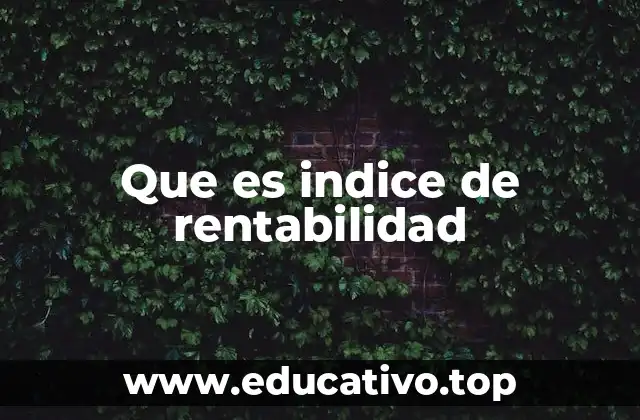 Que es indice de rentabilidad