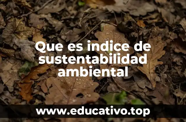 Cómo se evalúa la responsabilidad ambiental sin mencionar directamente el índice