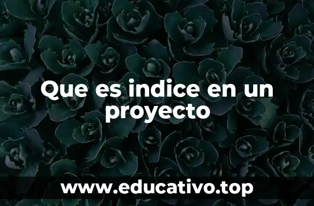 Que es indice en un proyecto