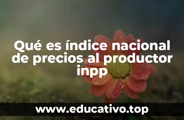 Qué es índice nacional de precios al productor inpp