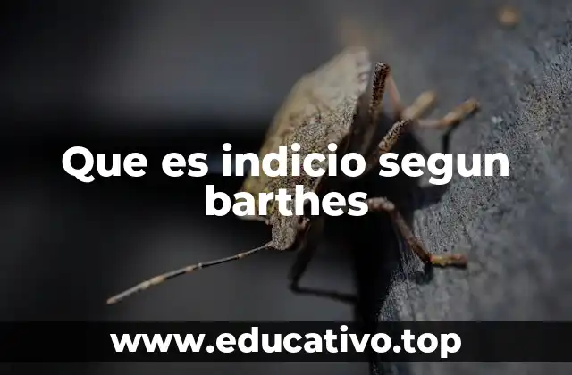 Que es indicio segun barthes