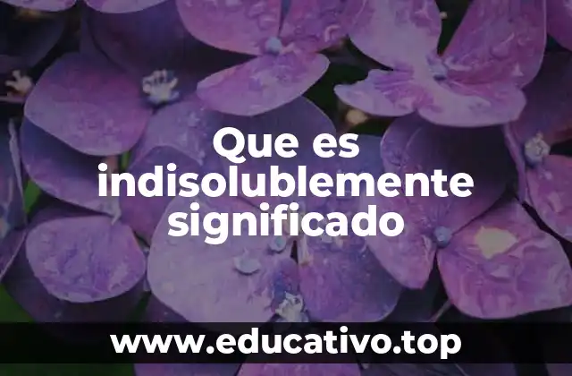 Que es indisolublemente significado