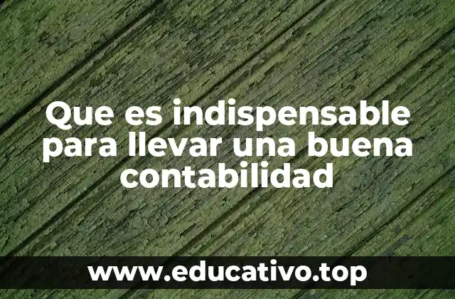 Que es indispensable para llevar una buena contabilidad