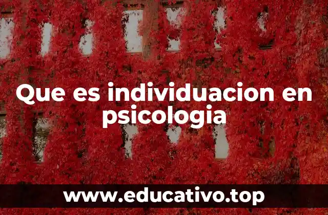 Que es individuacion en psicologia