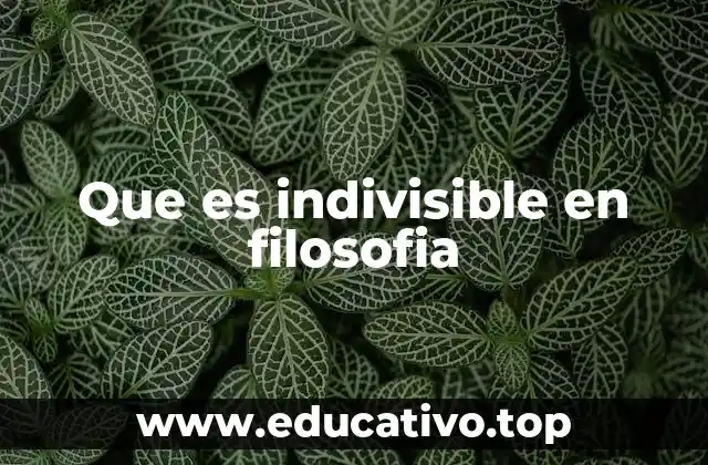 Que es indivisible en filosofia
