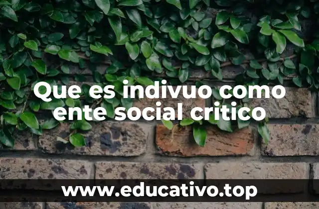 Que es indivuo como ente social critico