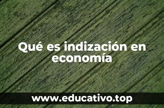 Qué es indización en economía