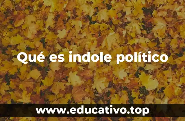 Qué es indole político
