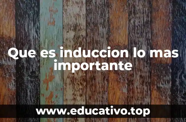 Que es induccion lo mas importante