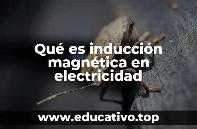 Qué es inducción magnética en electricidad