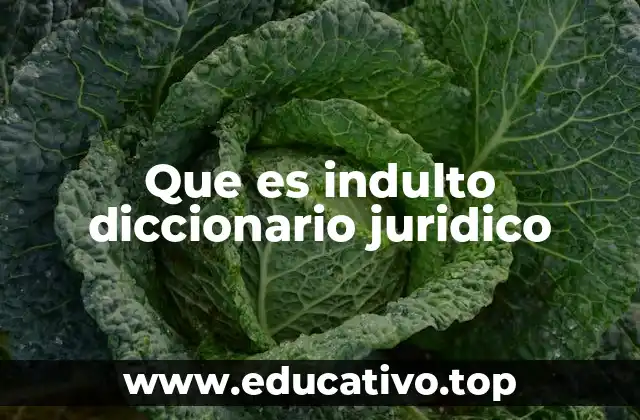 Que es indulto diccionario juridico