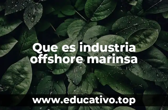 Que es industria offshore marinsa