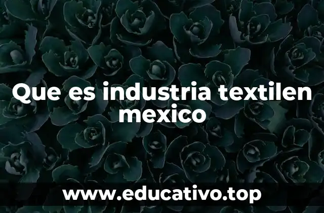 Que es industria textilen mexico