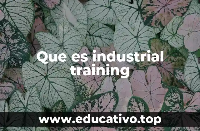 Que es industrial training