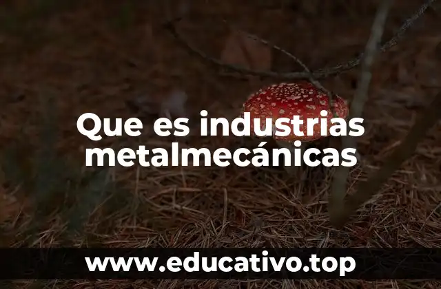 Que es industrias metalmecánicas