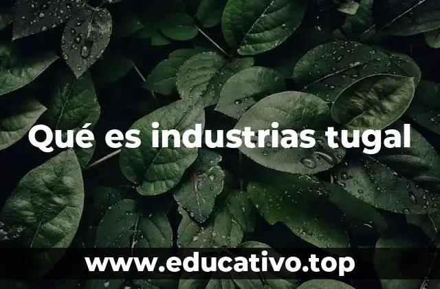 Qué es industrias tugal