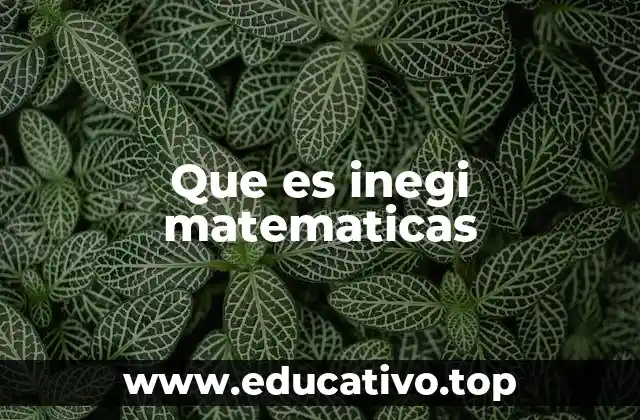 Que es inegi matematicas