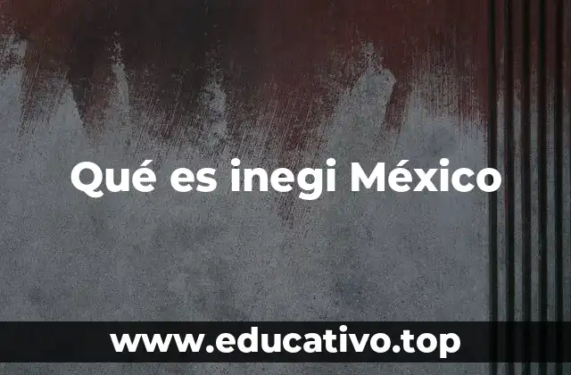 Qué es inegi México
