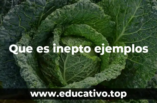 Que es inepto ejemplos