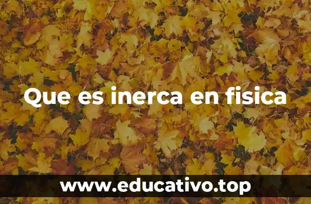 Que es inerca en fisica