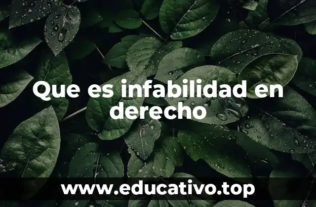 Que es infabilidad en derecho