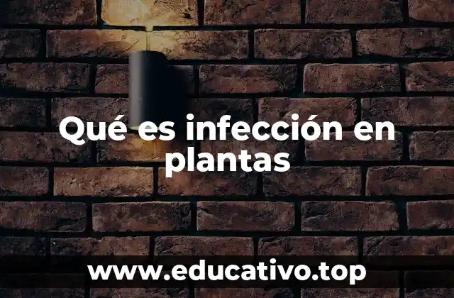 Qué es infección en plantas