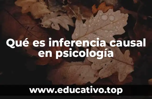 Qué es inferencia causal en psicología