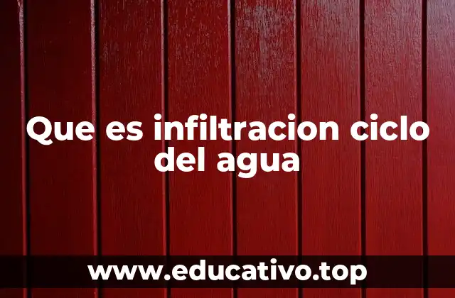 Que es infiltracion ciclo del agua