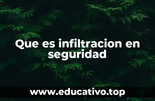 Que es infiltracion en seguridad