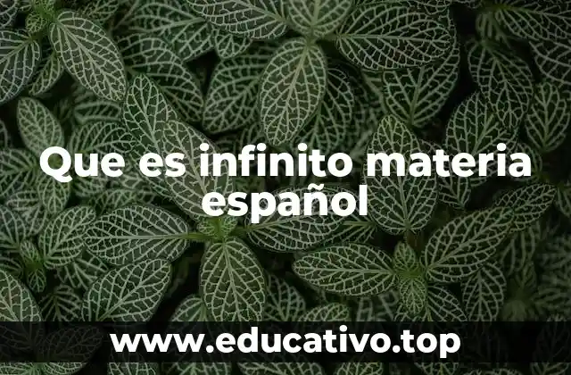 Que es infinito materia español