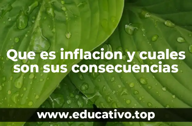 Que es inflacion y cuales son sus consecuencias