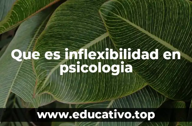 Que es inflexibilidad en psicologia