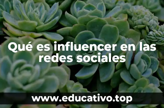 Qué es influencer en las redes sociales