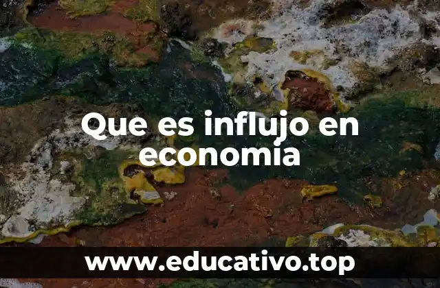 Que es influjo en economia