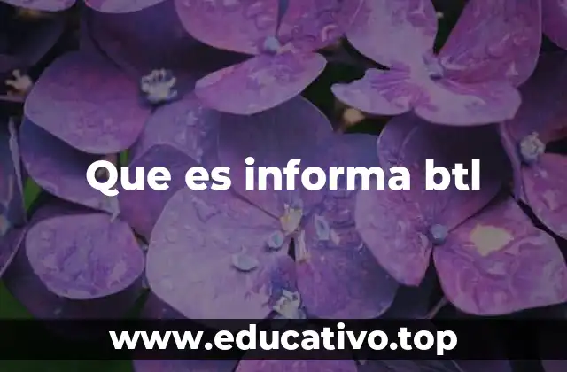Que es informa btl