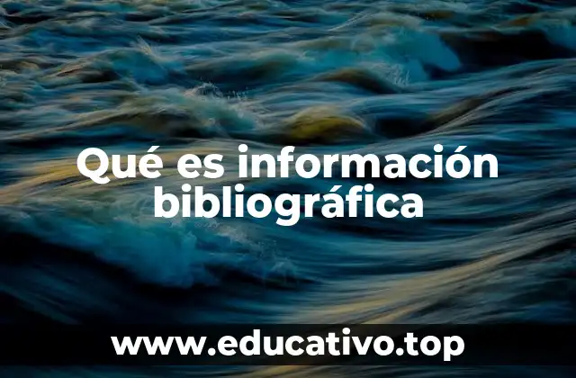 Qué es información bibliográfica