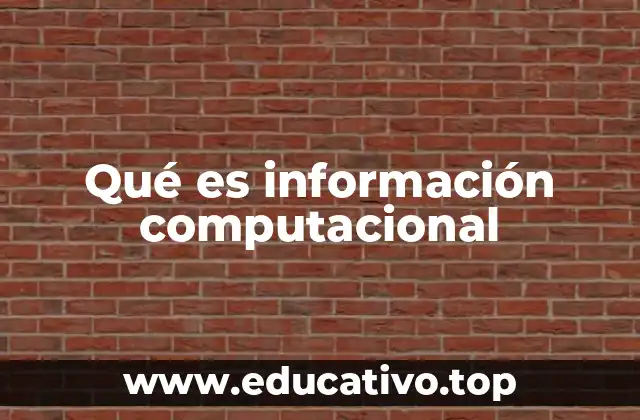 Qué es información computacional