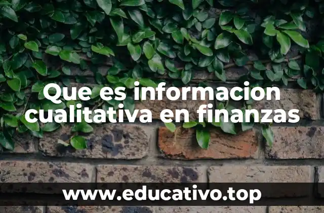 Que es informacion cualitativa en finanzas