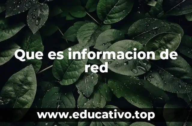 Que es informacion de red