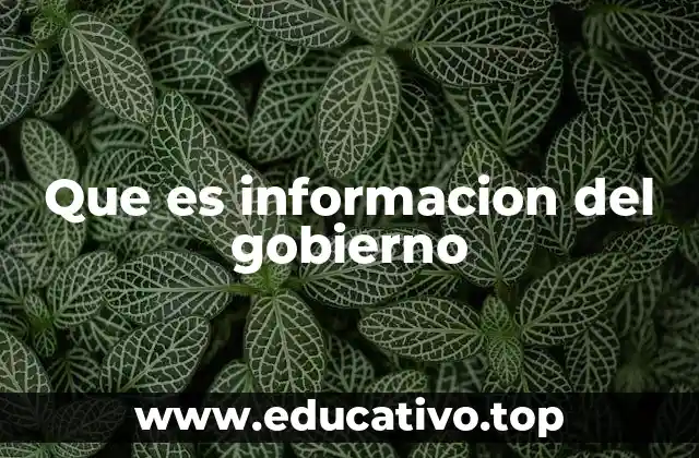Que es informacion del gobierno