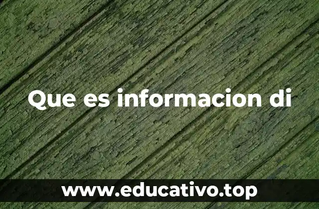 Que es informacion di