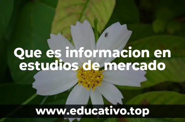 Que es informacion en estudios de mercado