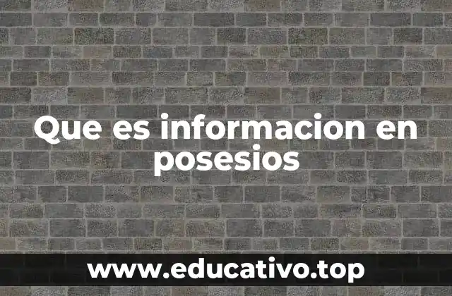 Que es informacion en posesios