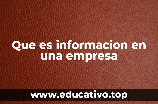 Que es informacion en una empresa