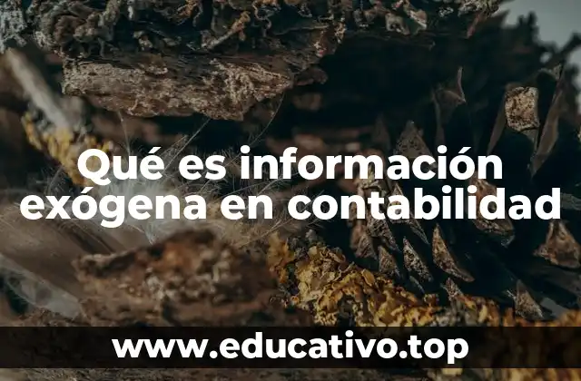 Qué es información exógena en contabilidad
