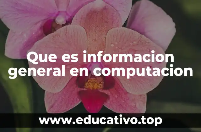 Que es informacion general en computacion