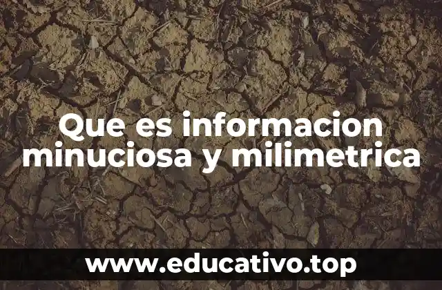 Que es informacion minuciosa y milimetrica